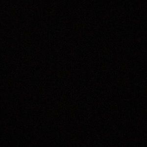 Meet your Posher, Abigail